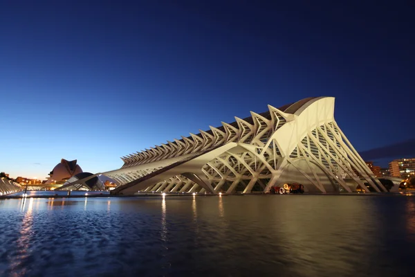 Valencia Ciudad de las Artes y las Ciencias plano nocturno —  Fotos de Stock