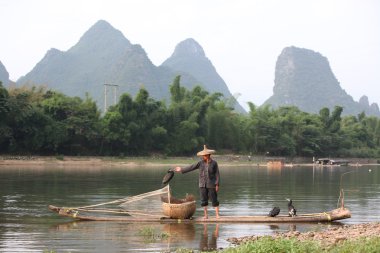 Yangshuo - 19 Haziran: Çinli adam karabatak kuşlar yangshuo, guangxi bölge, geleneksel balıkçılık kullanımı ile Balık tutma eğitimli karabatak balık, 19 Haziran 2012