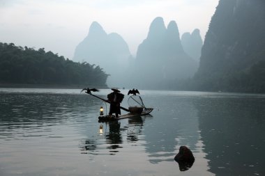 Yangshuo - 19 Haziran: Çinli adam karabatak kuşlar yangshuo, guangxi bölge, geleneksel balıkçılık kullanımı ile Balık tutma eğitimli karabatak balık, 19 Haziran 2012