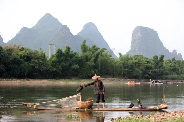 YANGSHUO - JUNHO 19: Homem chinês que pesca com corvos-marinhos aves em Yangshuo, região de Guangxi, uso de pesca tradicional corvos-marinhos treinados para pescar, Junho 19, 2012 — Fotografia de Stock