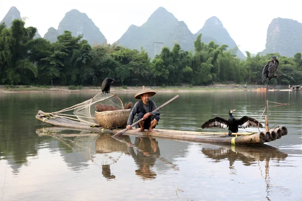 YANGSHUO - 18 DE JUNIO: Hombre chino pescando con aves cormoranes en Yangshuo, región de Guangxi, pesca tradicional usando cormoranes entrenados para pescar, 18 de junio de 2012 Yangshuo en Guangxi, China —  Fotos de Stock