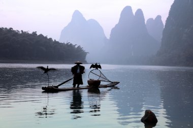 Yangshuo - 18 Haziran: Çinli adam karabatak kuşlar yangshuo, guangxi bölge, geleneksel balıkçılık kullanımı ile Balık tutma eğitimli karabatak balık için 18 Haziran 2012 yangshuo içinde guangxi, china