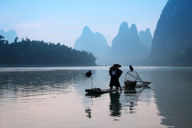 Yangshuo - 18 Haziran: Çinli adam karabatak kuşlar yangshuo, guangxi bölge, geleneksel balıkçılık kullanımı ile Balık tutma eğitimli karabatak balık için 18 Haziran 2012 yangshuo içinde guangxi, china