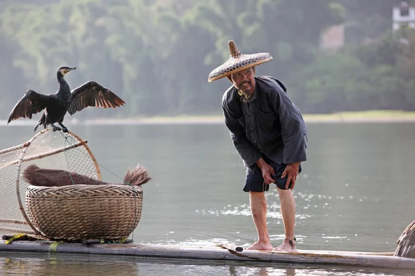 Yangshuo - 18 Haziran: Çinli adam karabatak kuşlar yangshuo, guangxi bölge, geleneksel balıkçılık kullanımı ile Balık tutma eğitimli karabatak balık için 18 Haziran 2012 yangshuo içinde guangxi, china — Stok fotoğraf