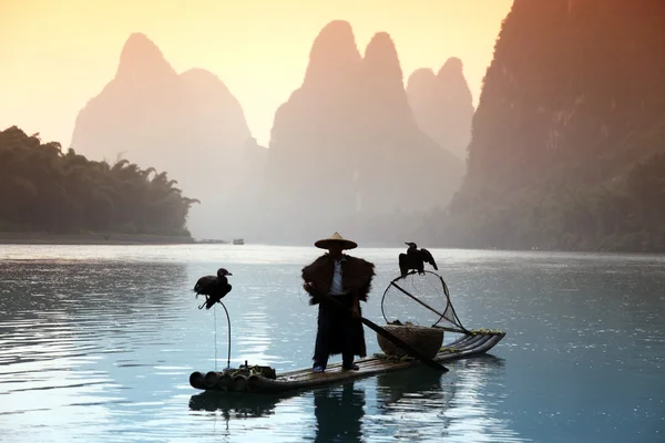 YANGSHUO - JUNE 18: Chinese man fishing with cormorants birds in Yangshuo, Guangxi region, traditional fishing use trained cormorants to fish, June 18, 2012 Yangshuo in Guangxi, China — Stock Photo, Image