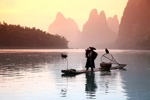 YANGSHUO - 18 DE JUNIO: Hombre chino pescando con aves cormoranes en Yangshuo, región de Guangxi, pesca tradicional usando cormoranes entrenados para pescar, 18 de junio de 2012 Yangshuo en Guangxi, China — Foto de Stock