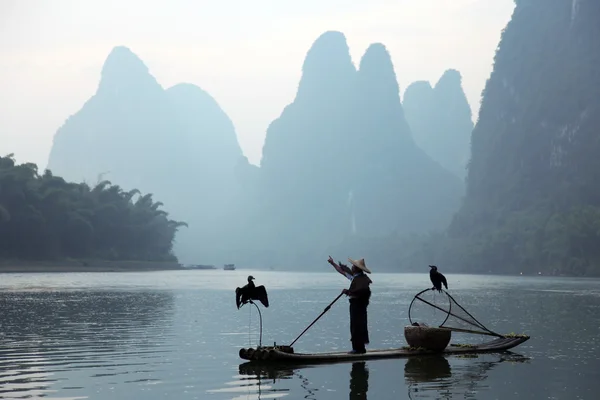 YANGSHUO - 18 DE JUNIO: Hombre chino pescando con aves cormoranes en Yangshuo, región de Guangxi, pesca tradicional usando cormoranes entrenados para pescar, 18 de junio de 2012 Yangshuo en Guangxi, China — Foto de Stock