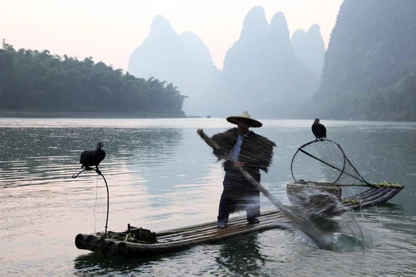 YANGSHUO - JUNE 18: Chinese man fishing with cormorants birds in Yangshuo, Guangxi region, traditional fishing use trained cormorants to fish, June 18, 2012 Yangshuo in Guangxi, China — Stock Photo, Image