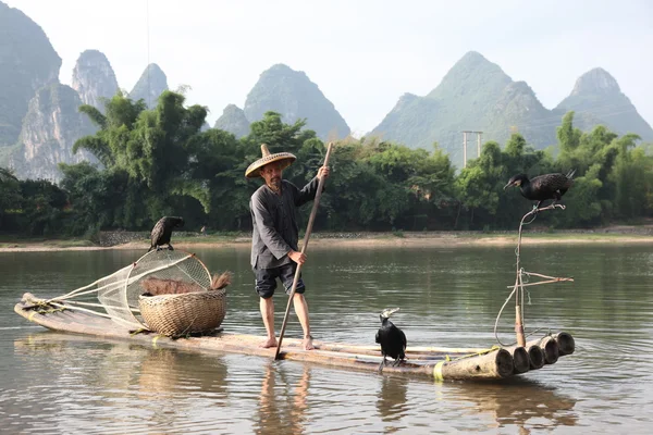 YANGSHUO - 18 JUIN : Homme chinois pêchant avec des cormorans oiseaux à Yangshuo — Photo