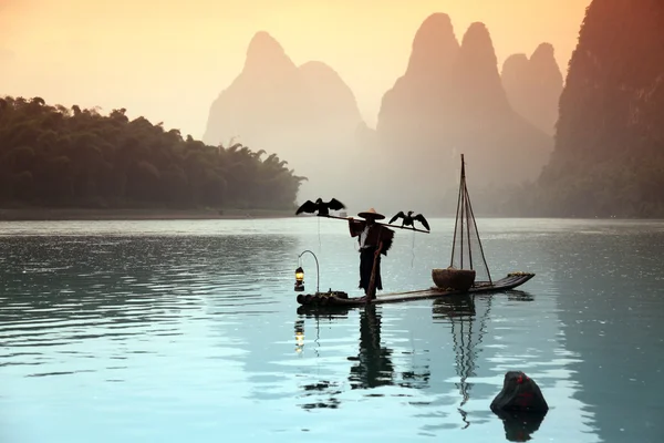 YANGSHUO - JUNE 18: Chinese man fishing with cormorants birds in Yangshuo — Stock Photo, Image