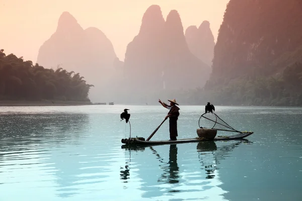 陽朔 - 6 月 18 日: 中国人男性の陽朔の鵜鳥と魚釣り — ストック写真