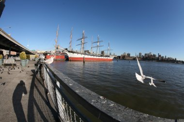 Eski gemi new york Marina