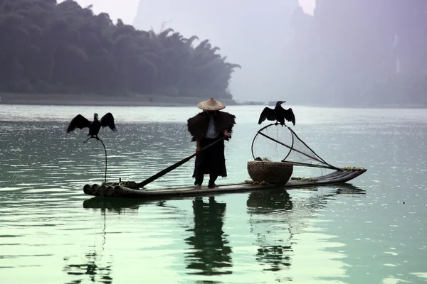 Číňan lovu kormoránů ptáky v yangshuo — Stock fotografie