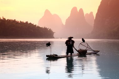 Yangshuo - 18 Haziran: Çinli karabatak kuşlar ile Balık tutma