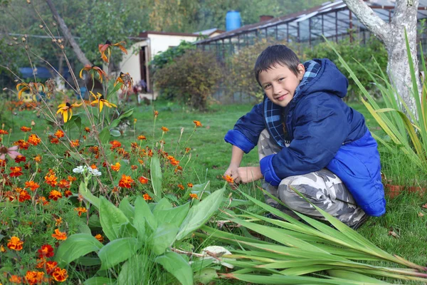 Маленький мальчик с цветами на открытом воздухе — стоковое фото