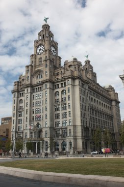 Liverpool Karaciğer bina
