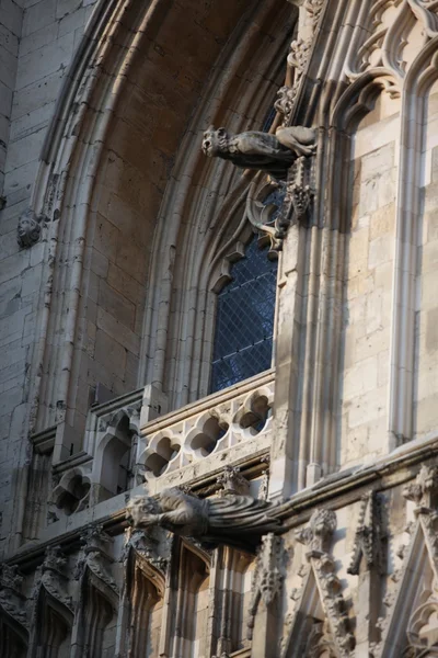 Eleme a York Minster külső dekoráció — Stock Fotó