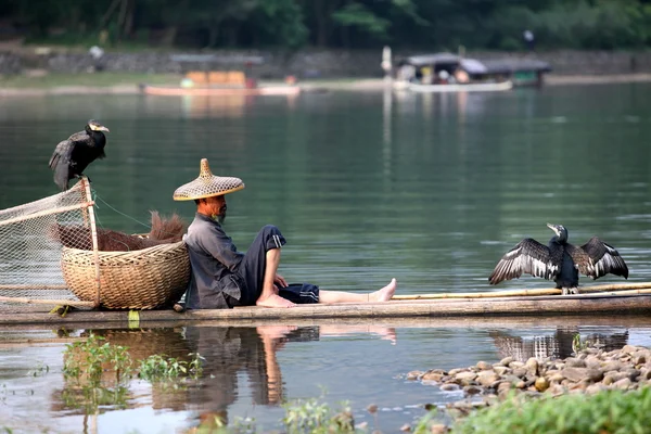 Homem chinês pesca — Fotografia de Stock