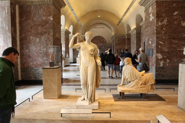 Louvre-museon vierailijat — kuvapankkivalokuva