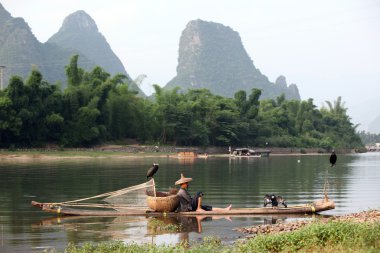 Yangshuo - 18 Haziran: Çinli karabatak kuşlar ile Balık tutma
