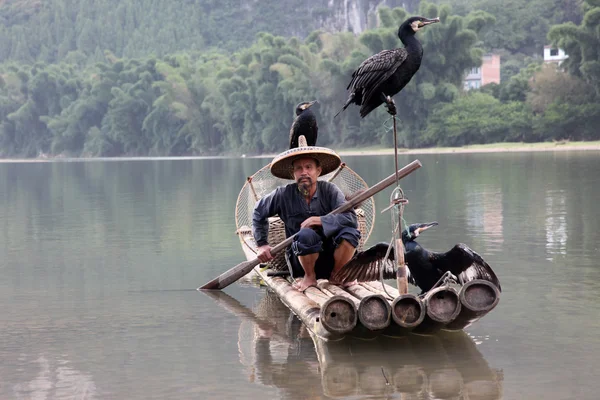 YANGSHUO : Chinese man fishing with cormorants birds — Stock Photo, Image