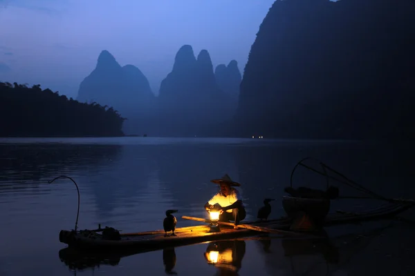 양: 중국 남자가 마우 지 새와 낚시 — 스톡 사진
