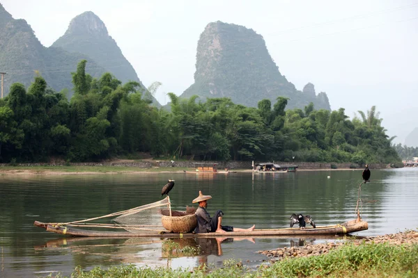 YANGSHUO - 18 GIUGNO: L'uomo cinese pesca con cormorani uccelli — Foto Stock