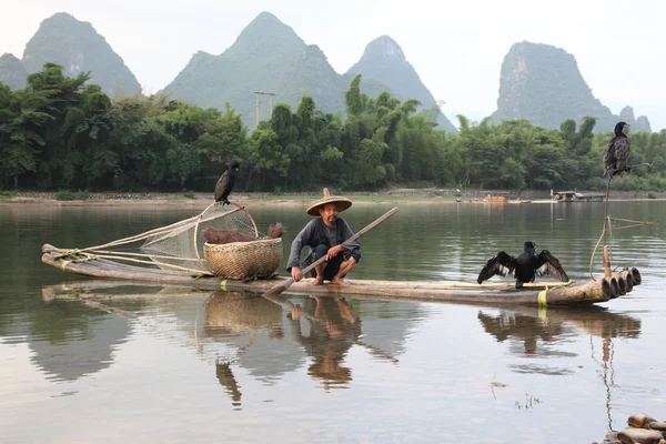 YANGSHUO - JUNHO 18: Homem chinês que pesca com corvos-marinhos aves — Fotografia de Stock