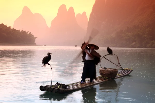 YANGSHUO - JUNHO 18: Homem chinês que pesca com corvos-marinhos aves — Fotografia de Stock