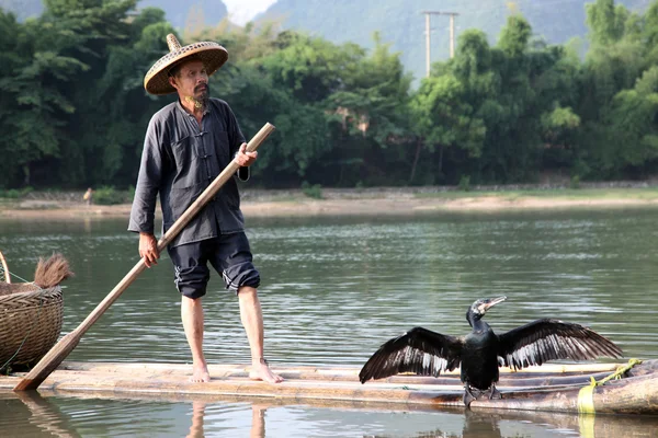 Yangshuo - 18 czerwca: Chiński człowiek połowów z ptaków kormorany — Zdjęcie stockowe
