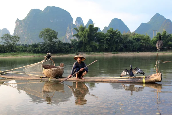 YANGSHUO - 18 GIUGNO: L'uomo cinese pesca con cormorani uccelli — Foto Stock