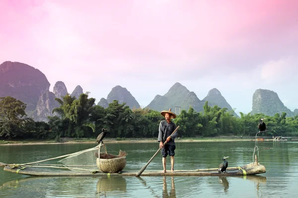 Yangshuo - 18. Juni: chinesischer mann angelt mit kormoranen vögeln — Stockfoto