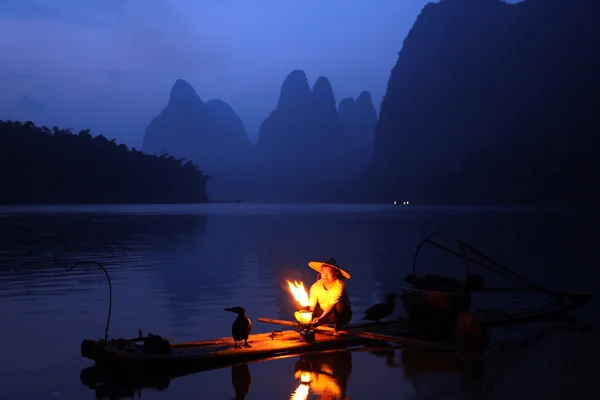 ЯНГШУО - 18 июня: Китаец ловит рыбу с бакланами — стоковое фото