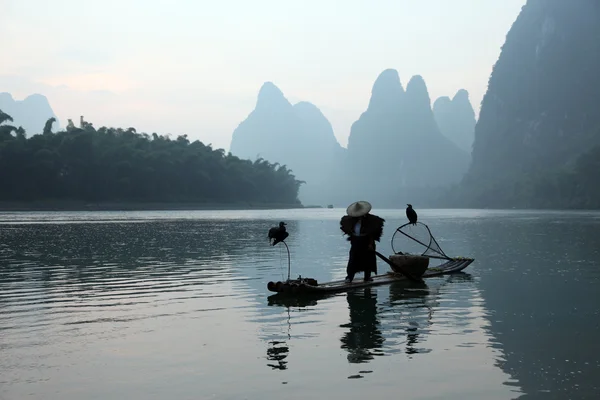 Hombre chino pescando con cormoranes pájaros — Foto de Stock