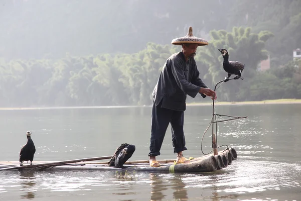 Uomo cinese pesca con cormorani uccelli — Foto Stock