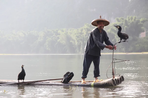 Çinli adamın karabatak kuş ile Balık tutma — Stok fotoğraf