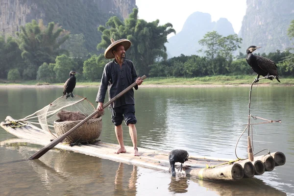 Uomo cinese pesca con cormorani uccelli — Foto Stock