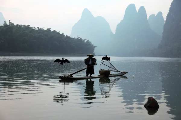 Uomo cinese pesca con cormorani uccelli — Foto Stock