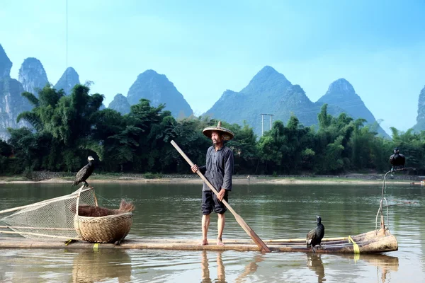 Chinese man fishing with cormorants birds — Stock Photo, Image