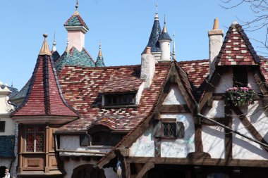 Yerel ve turizm ünlü disneyland Park