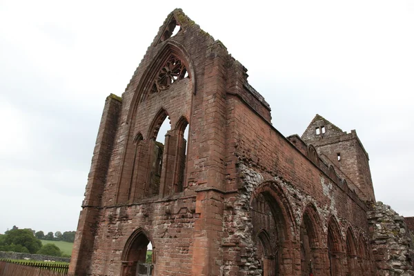 Sweetheart Abbey, ruined Cistercian monastery — Stock Photo, Image