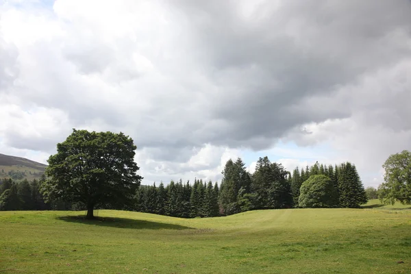 Groen veld in de buurt van blair kasteel, Schotland, Verenigd Koninkrijk — Stockfoto