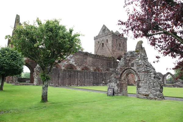 Sweetheart Abbey, ruined Cistercian monastery — Stock Photo, Image