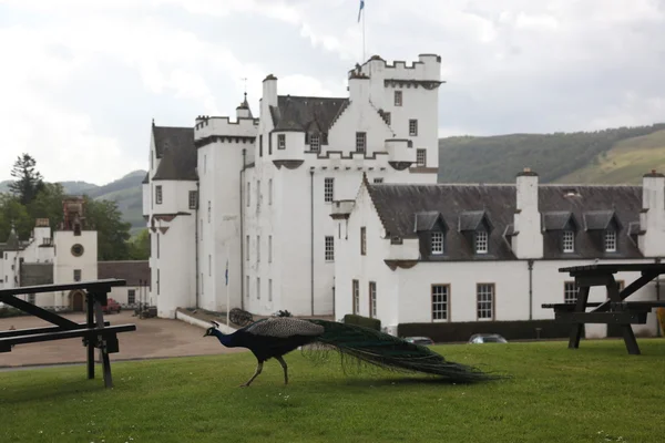 Blair castle, Skottland — Stockfoto