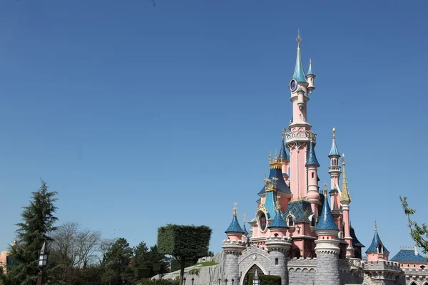 Local and Tourist in the famous Disneyland Park — Stock Photo, Image