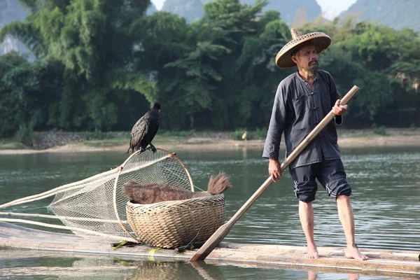 Yangshuo - 18 juni: Kinesisk man fiske med skarv fåglar — Stockfoto