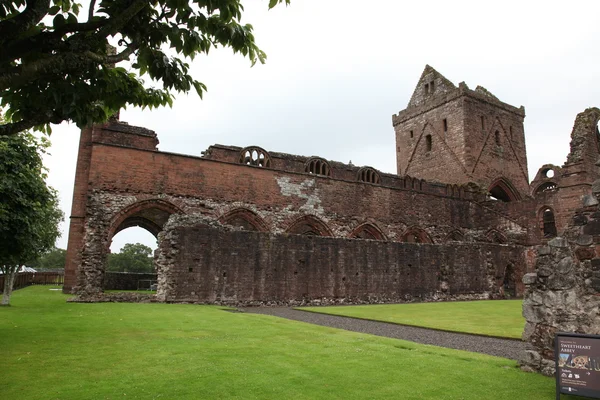 Sweetheart Abbey, ruined Cistercian monastery — Stock Photo, Image