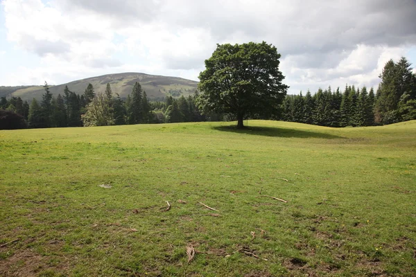Zelené louce poblíž blair hrad, Skotsko, Velká Británie — Stock fotografie
