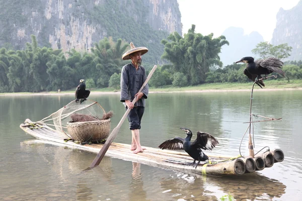 YANGSHUO - JUNE 18: Chinese man fishing with cormorants birds — Stock Photo, Image