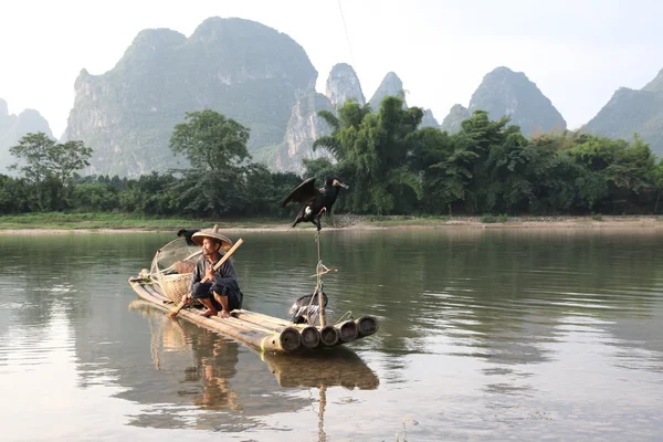 YANGSHUO - 18 iunie: Chinezii pescuiesc cu păsări de cormorani — Fotografie, imagine de stoc